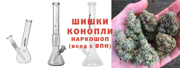 гашик Аркадак