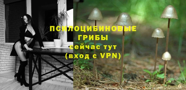 гашик Аркадак