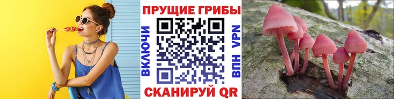 это клад  как найти наркотики  Тетюши  Галлюциногенные грибы ЛСД 